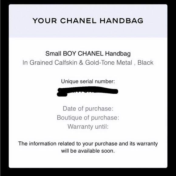CHANEL small boy bag - Picture 11 of 12